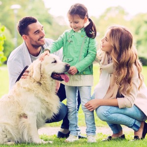 Spain's new mandatory dog Insurance: What you need to know!